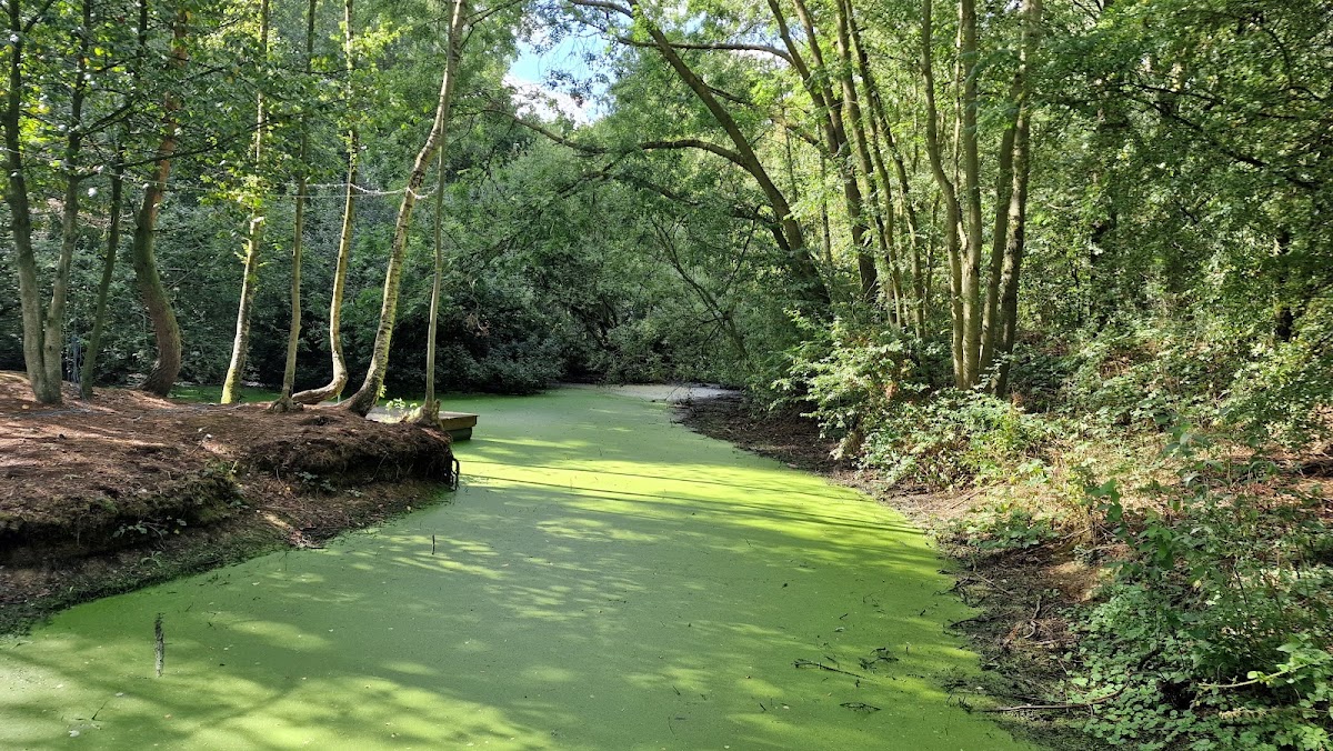 Slates Farm — view 7 of 8