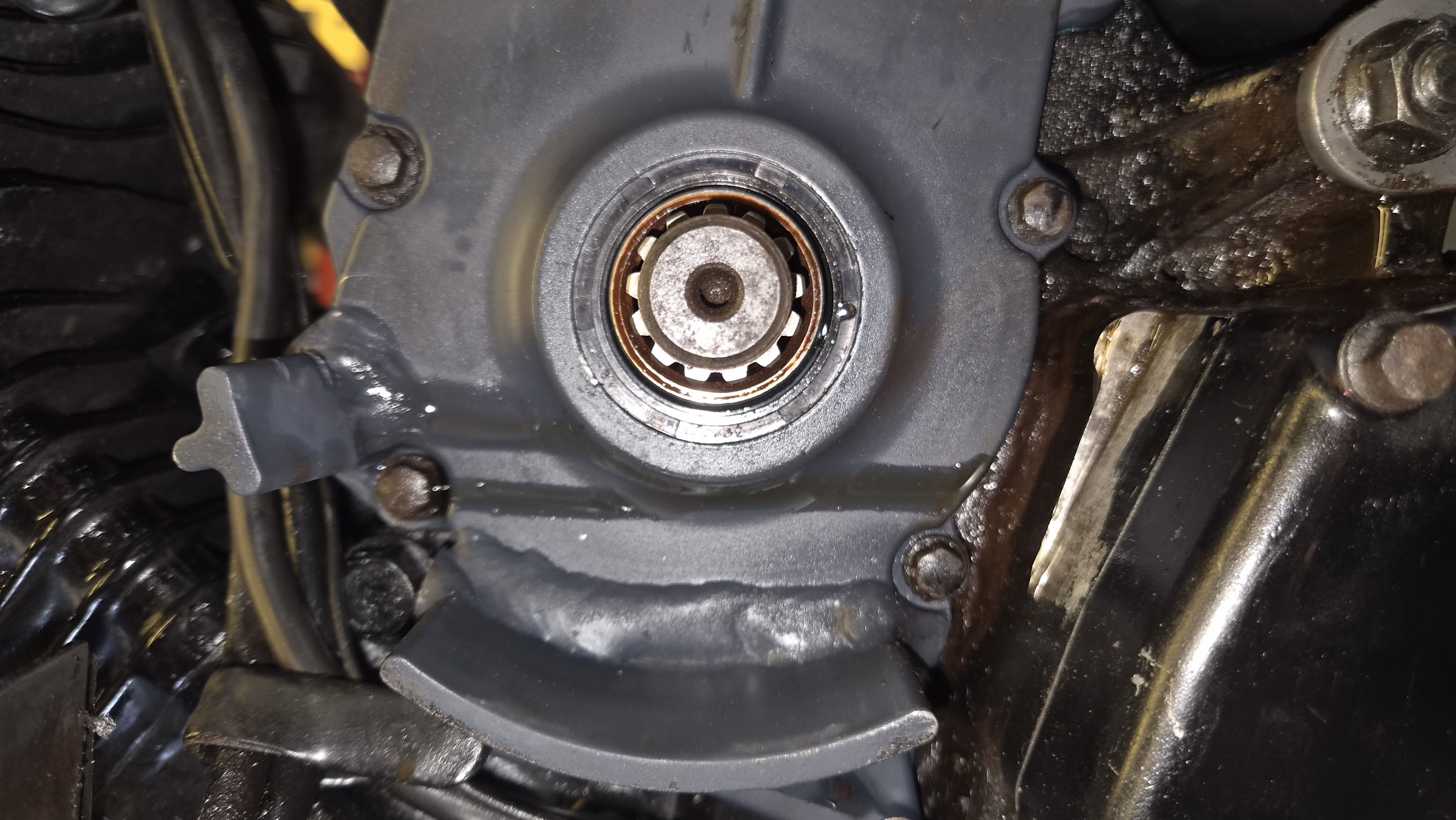 Vn800 chop - build update